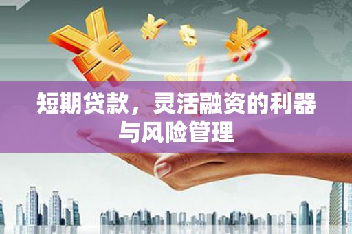 伊吾短期贷款，灵活融资的利器与风险管理