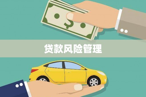 伊吾贷款风险管理